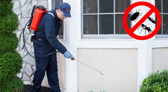 Gümüşhacıköy Kemirgen İlaçlama böcek ilaçlama ve haşere kontrolü — ilaclama-tr.com